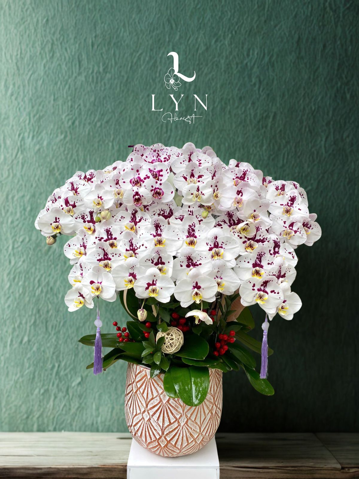 Chậu Hoa Lan Trắng Chấm Bi 1030.02